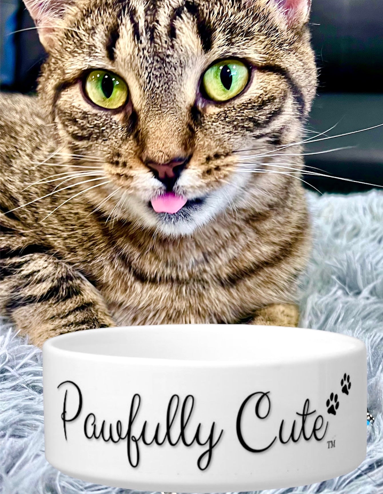 Pawfully Cute Adorable Ceramic Pet Bowl! (Medium) - Pawfully Cute!